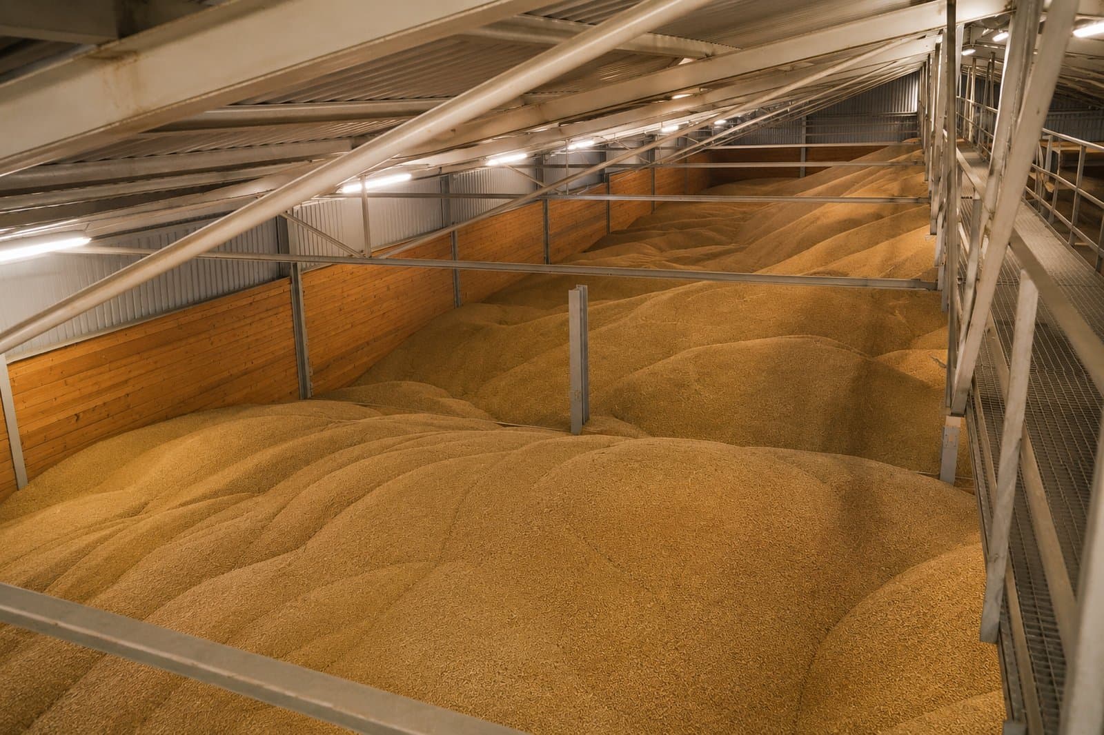 Interior of a storage hall filled with grain